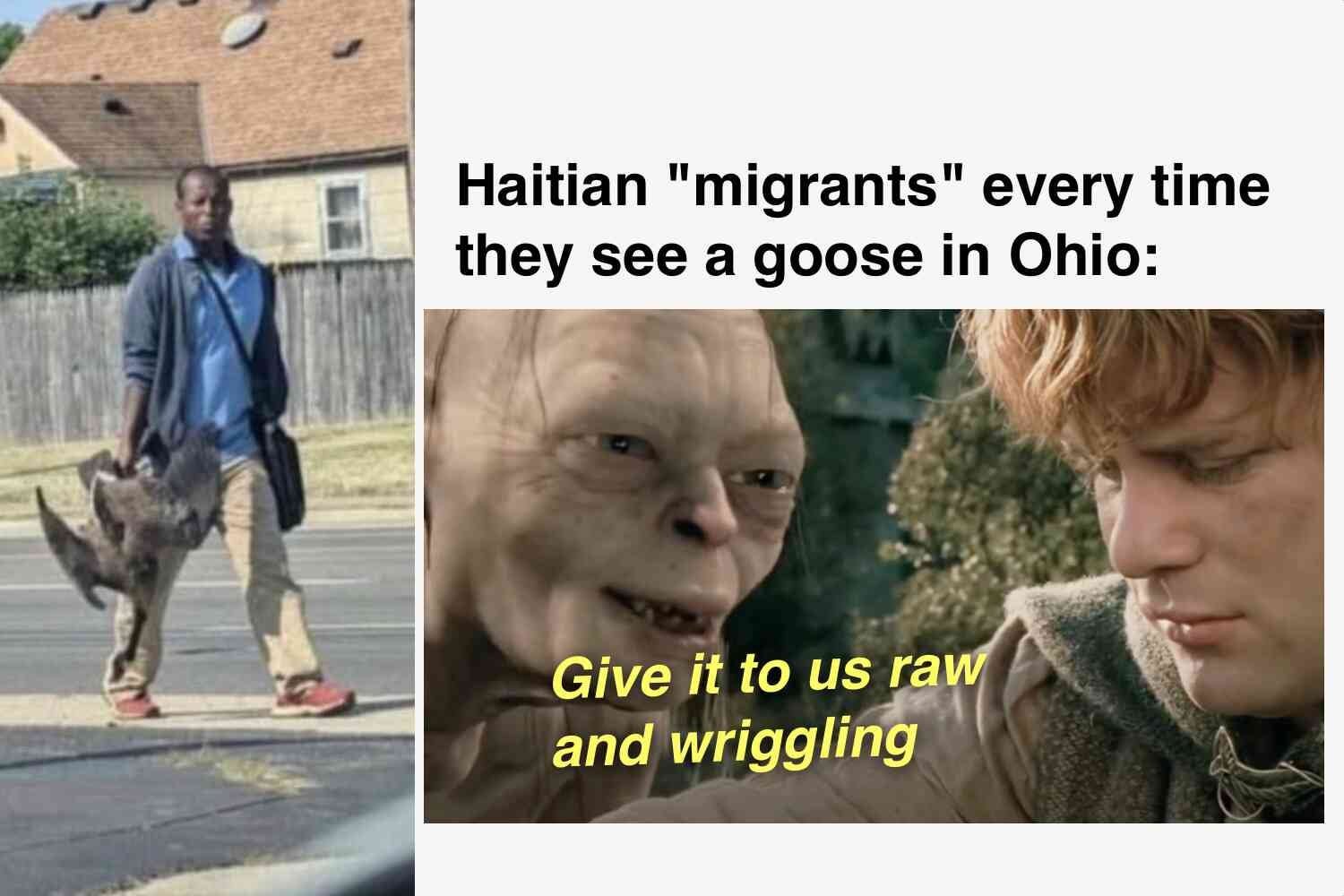 Let me use memes to explain what's happening with Haitian migrants who ...
